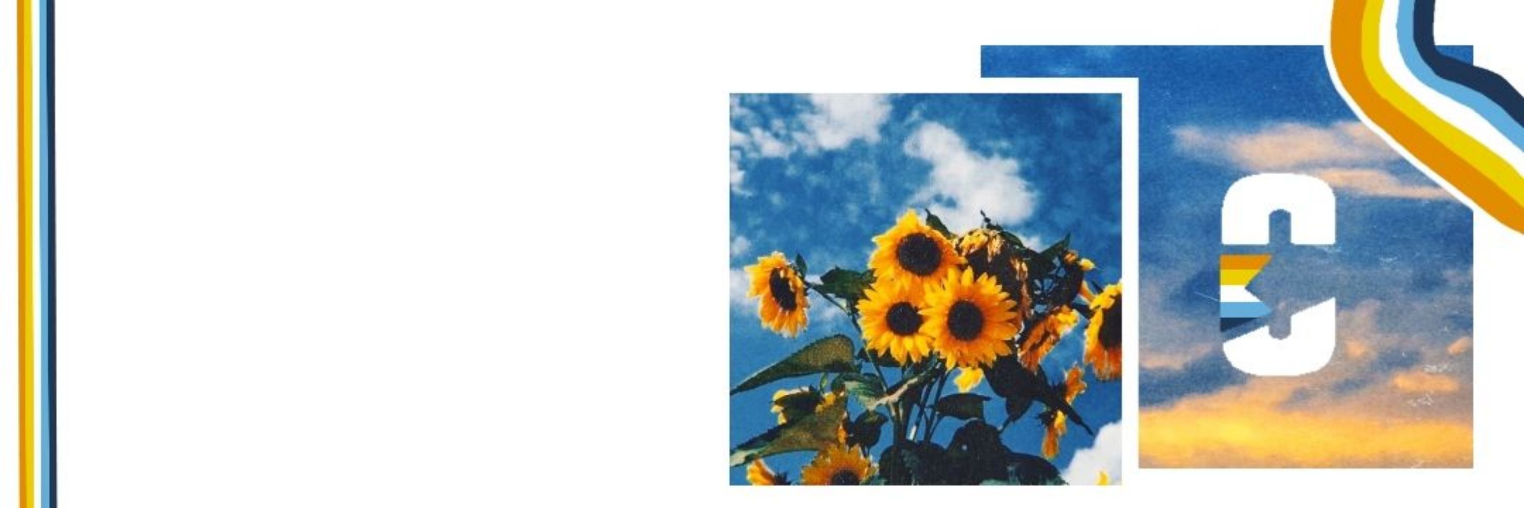 🌼 Nyx 🌼; 🇧🇷🍉