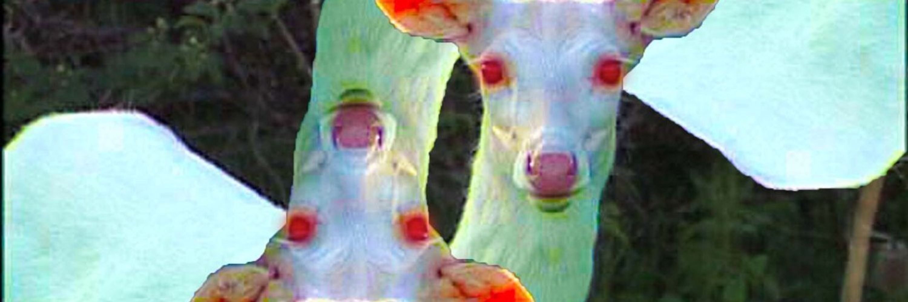 platoniccereal