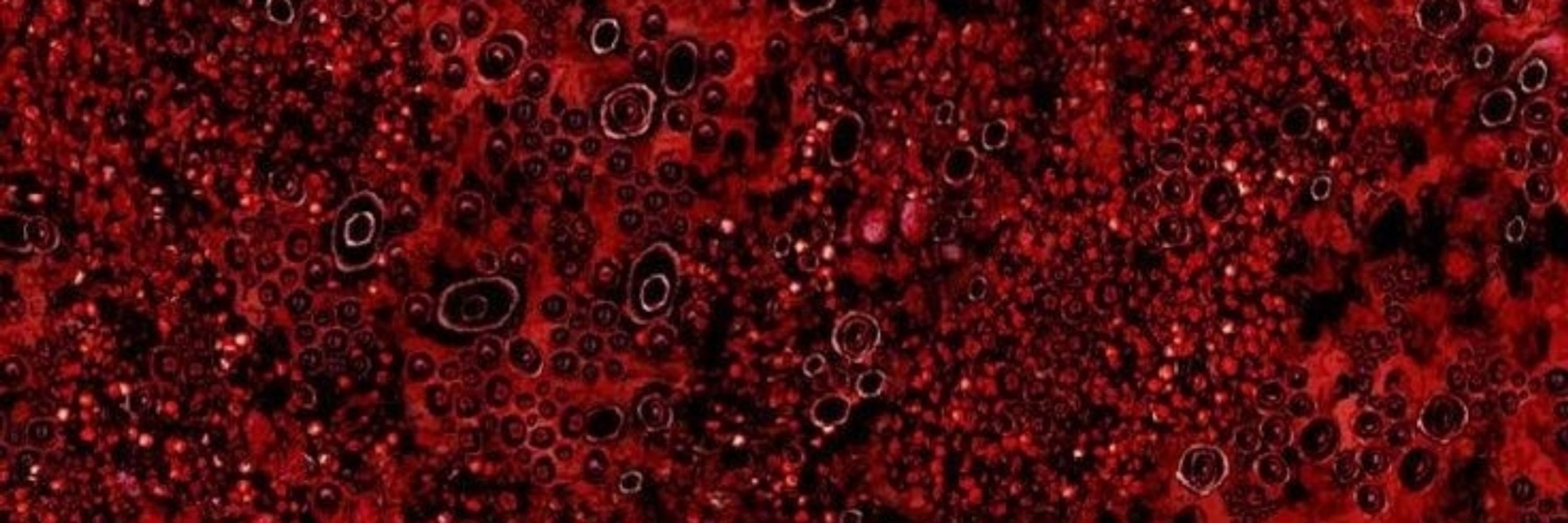 Viscera Carnis