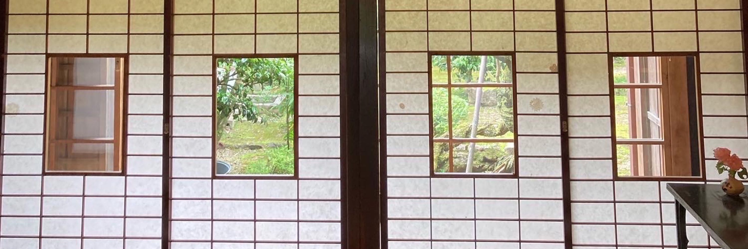 のぞこ