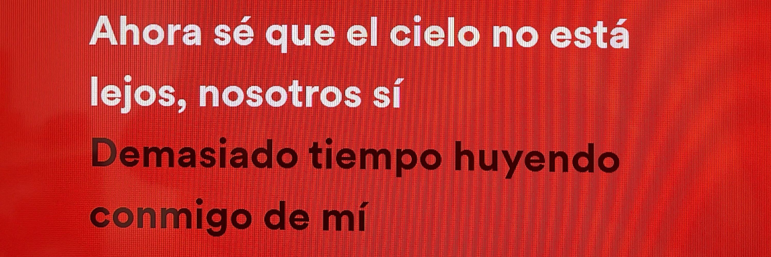 Alocado