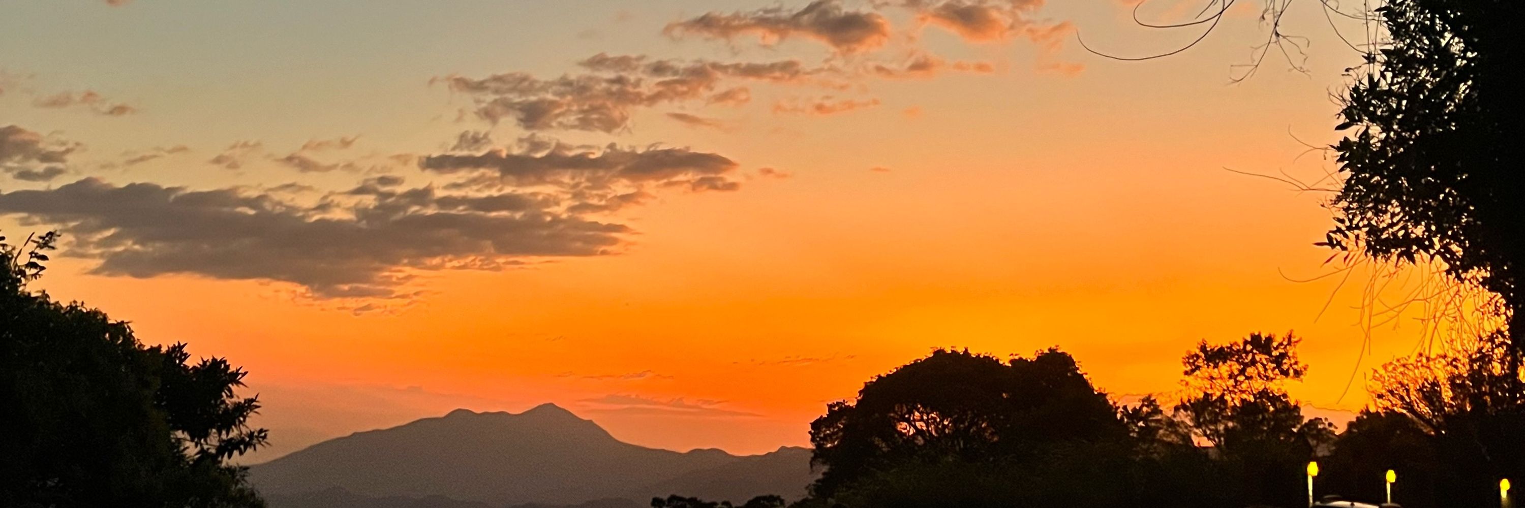 tainá