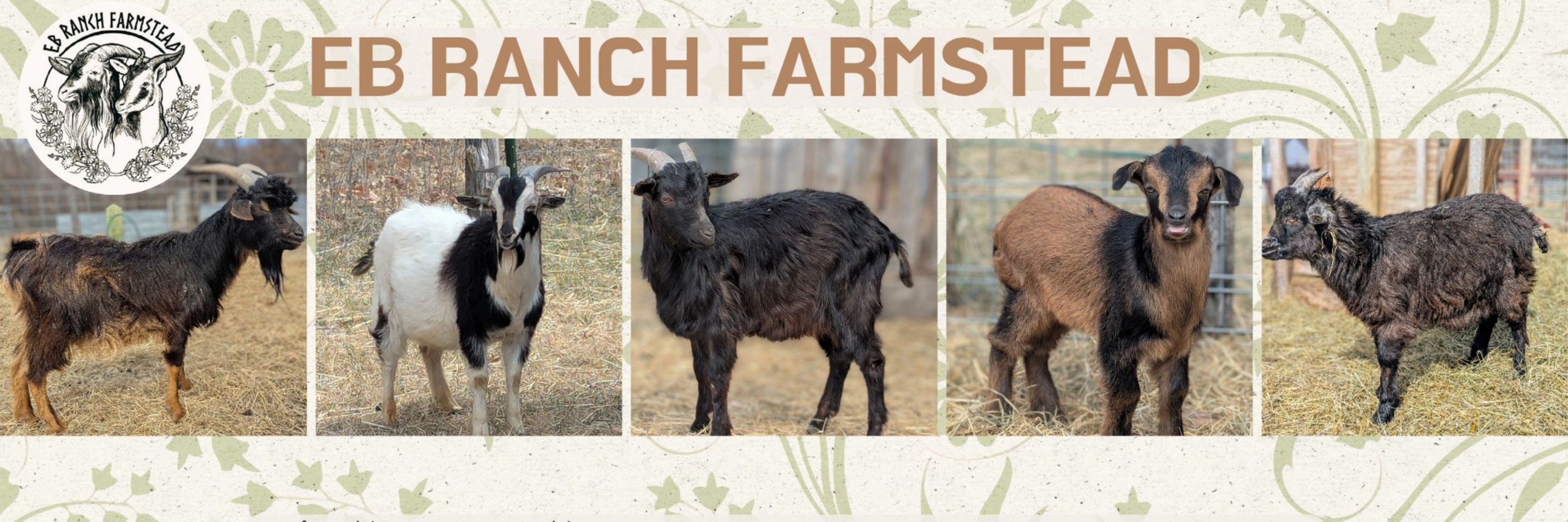 EB Ranch Farmstead