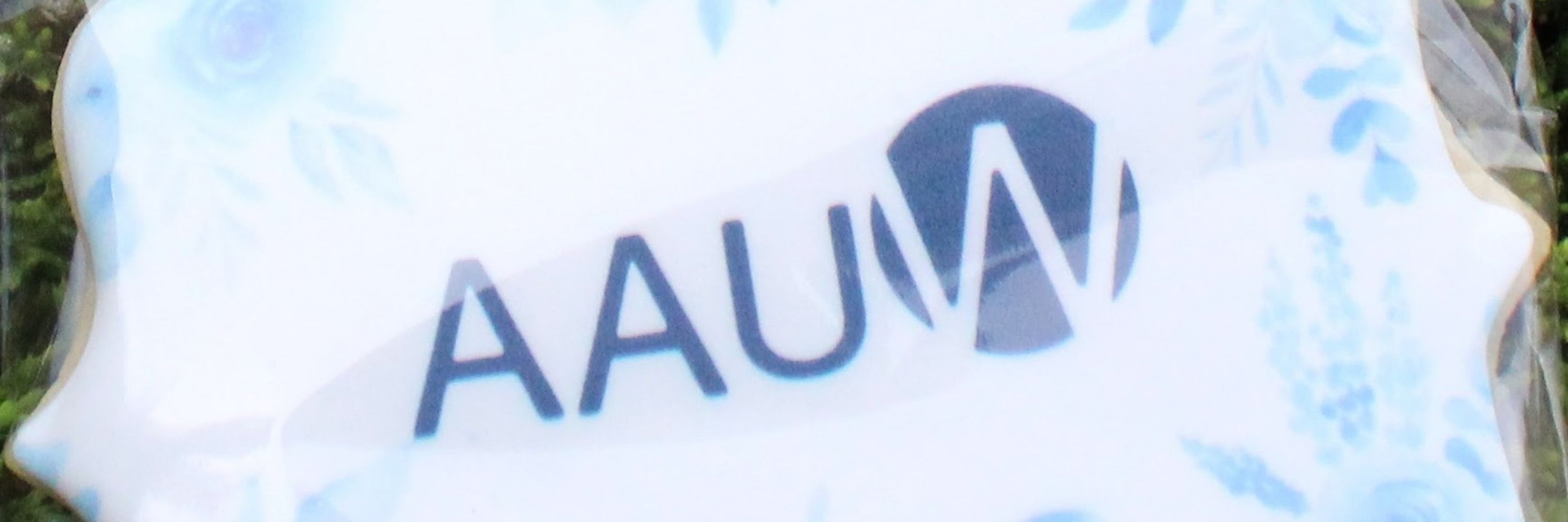 AAUW Naperville Area Branch