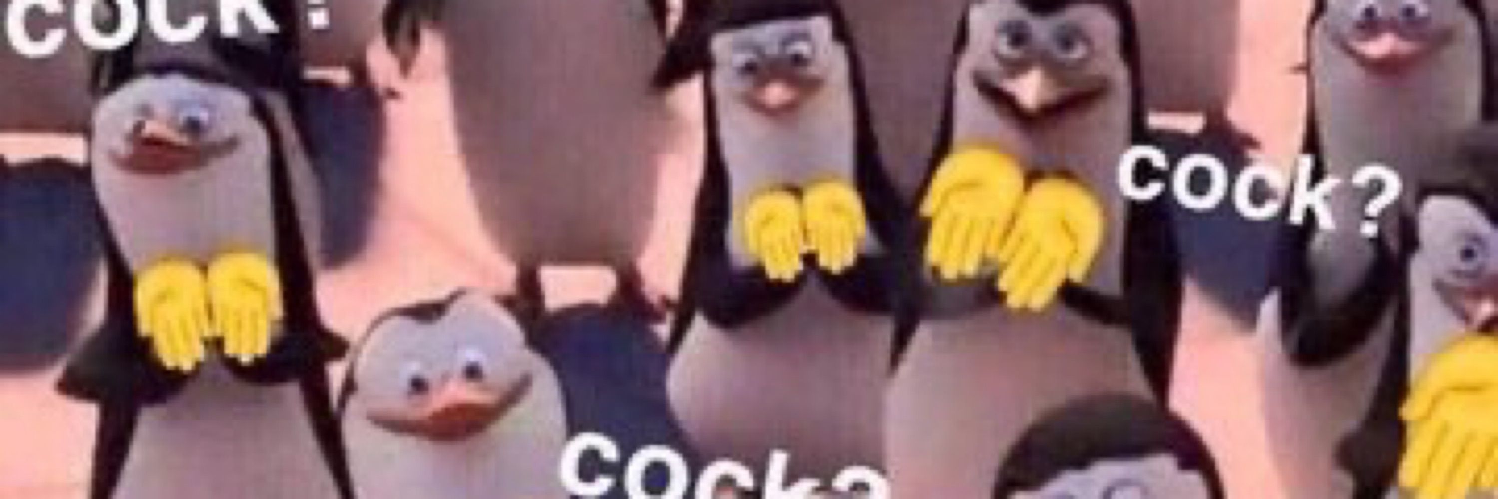 Nitsua