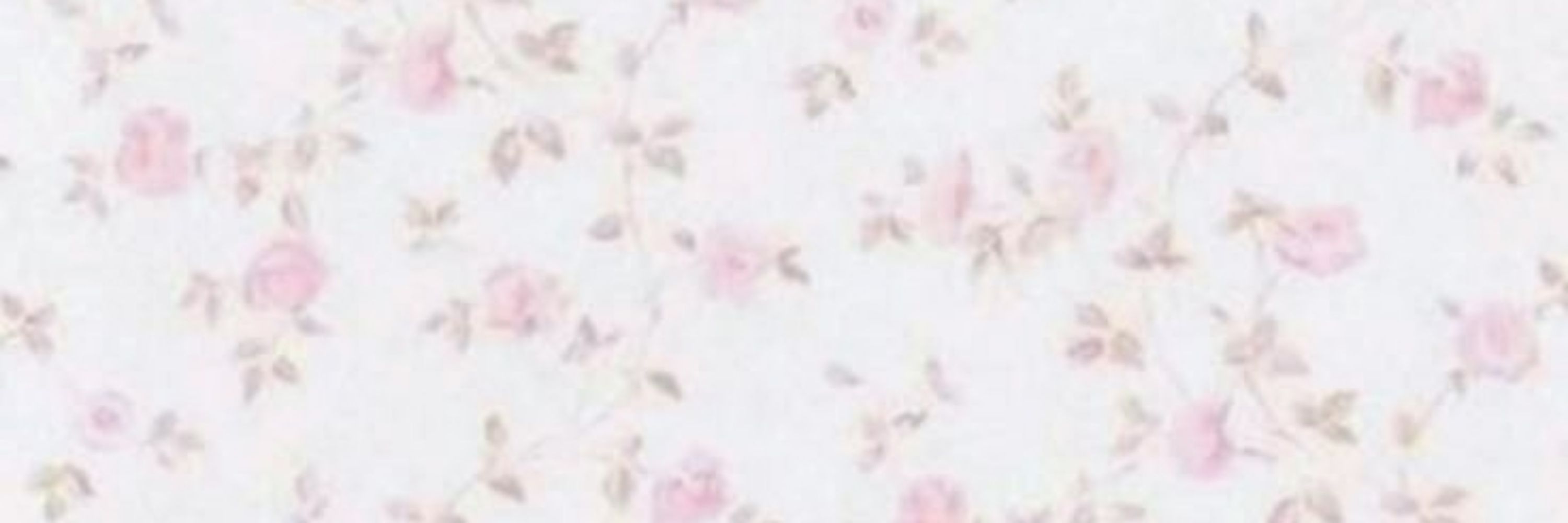 ˚*̥❀ Pixie ❀*̥˚