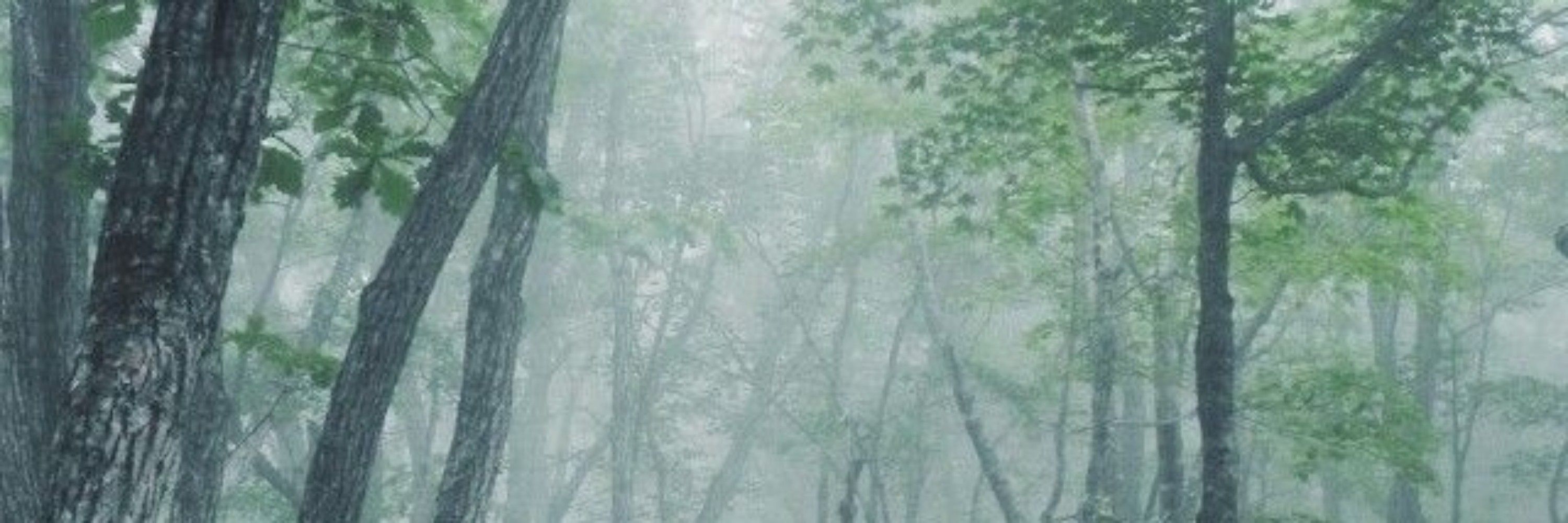 ⋆