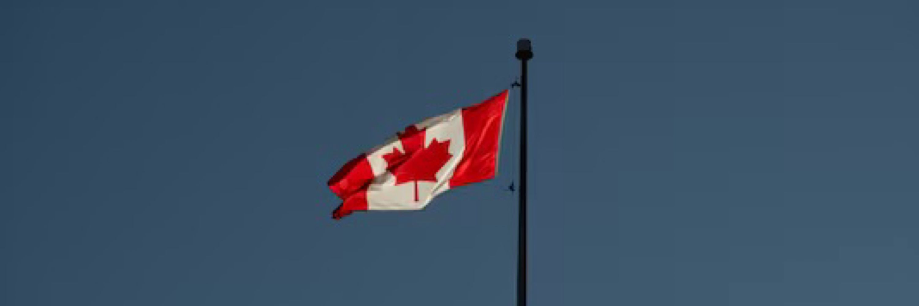 public 4 Public Health 🇨🇦 🦛