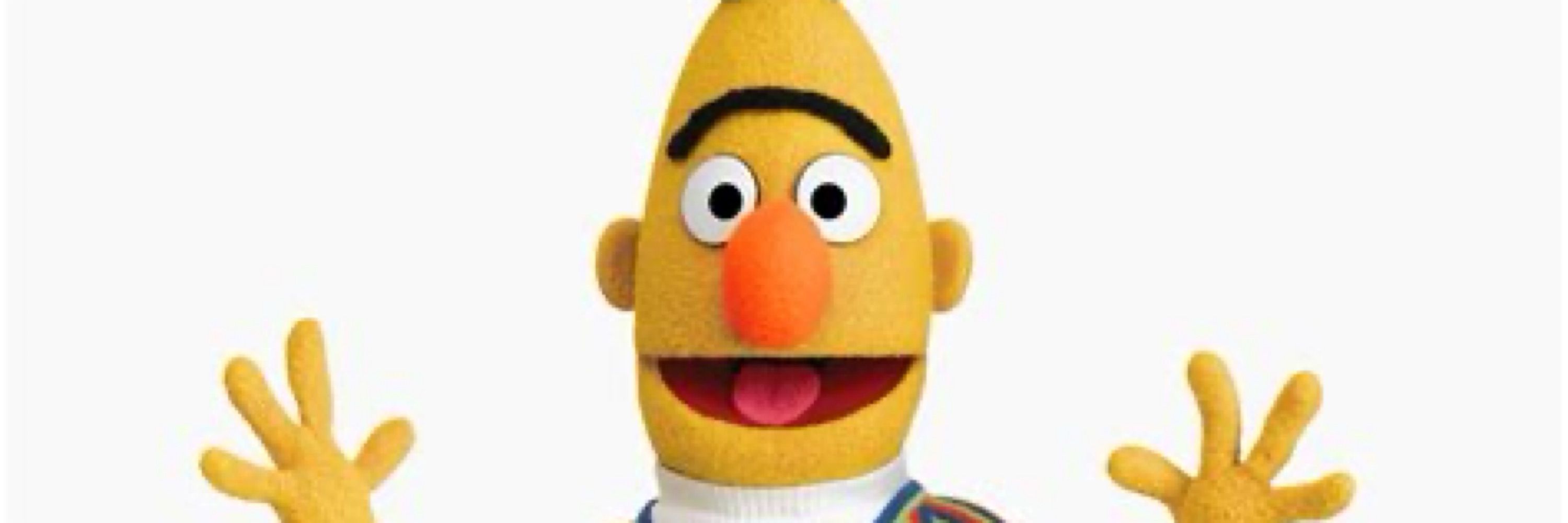 Bert Bavel