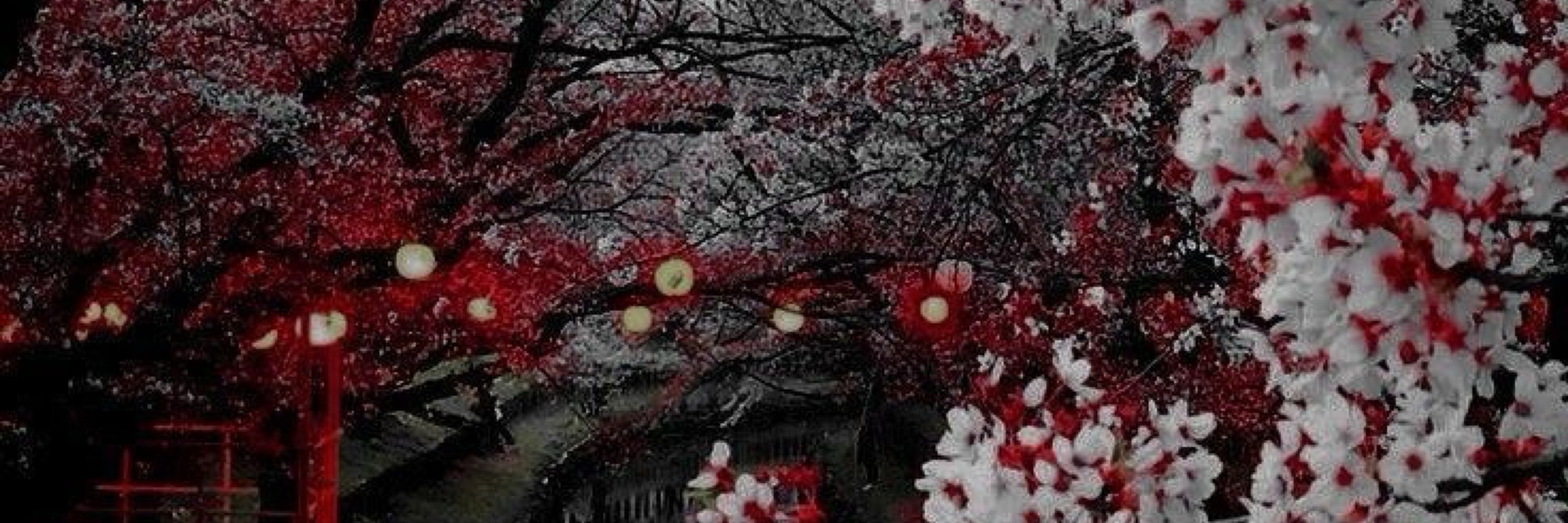 ✦𝔴𝔥𝔦𝔱𝔢 𝔫𝔬 𝔣𝔞𝔠𝔢✧ ° .