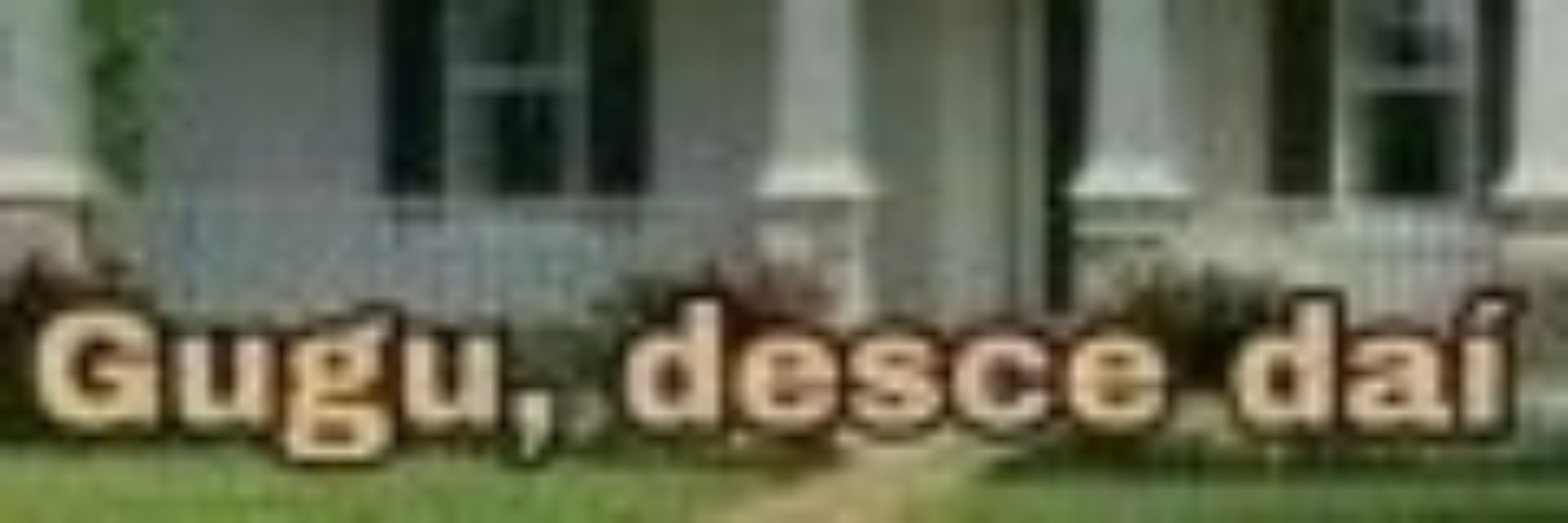 Óleo de bebê do Diddy 