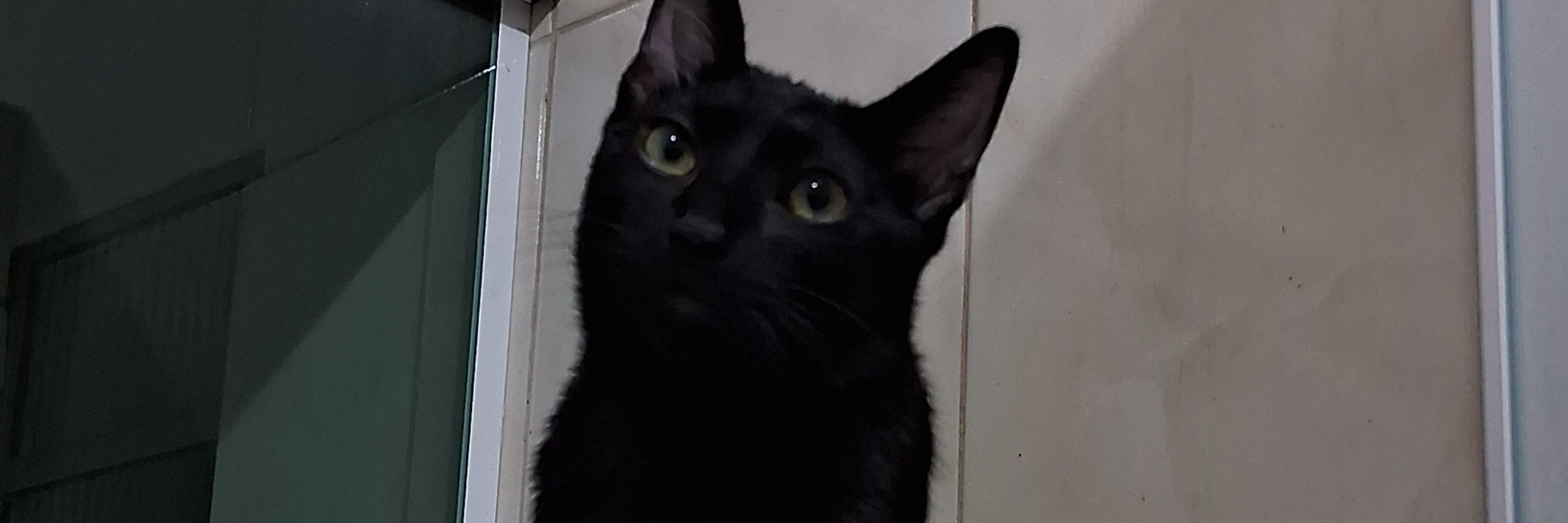Lulu