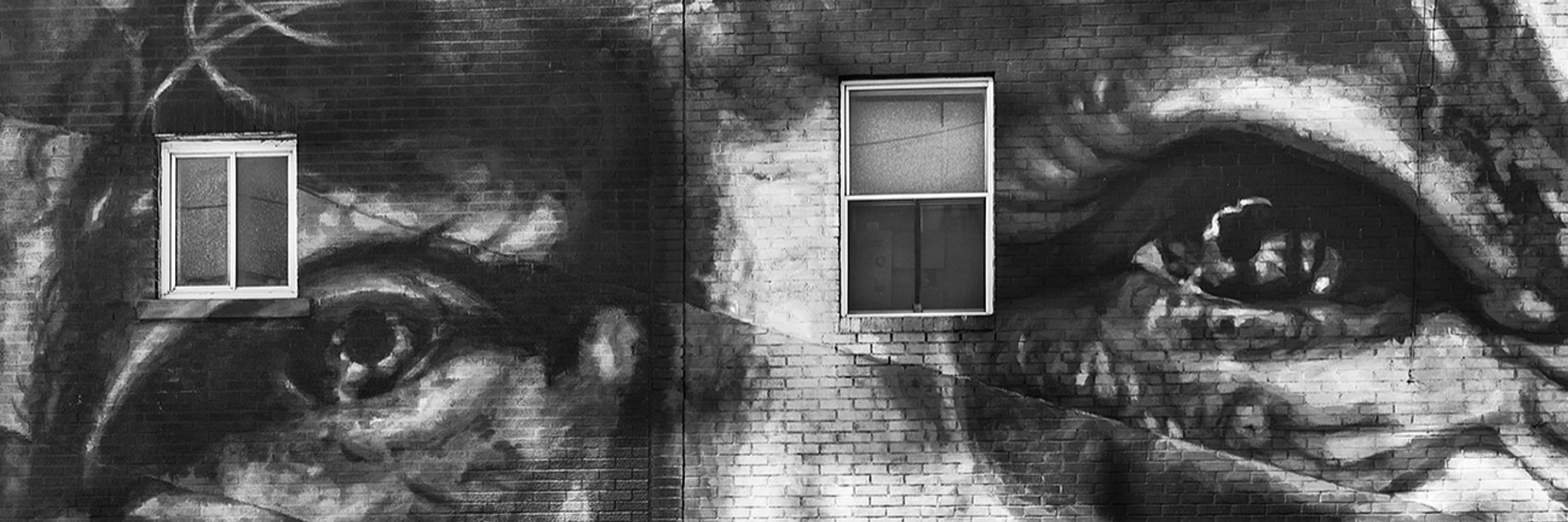 Louise Verdone📷