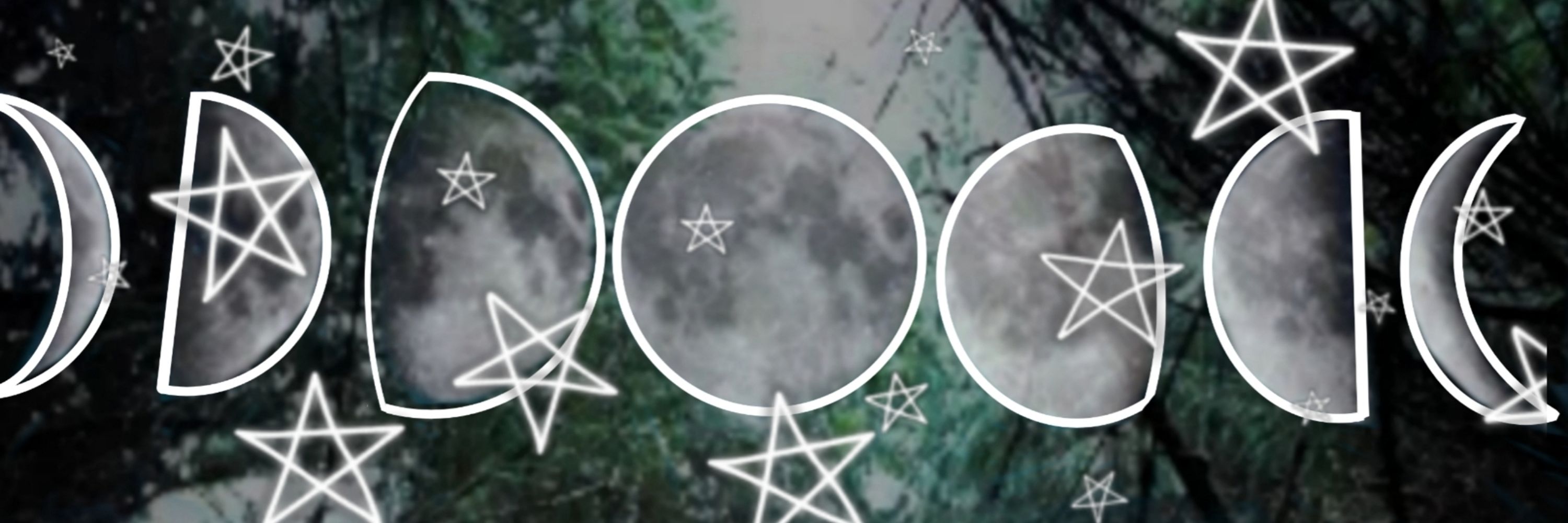 Dark Forest of The Gods