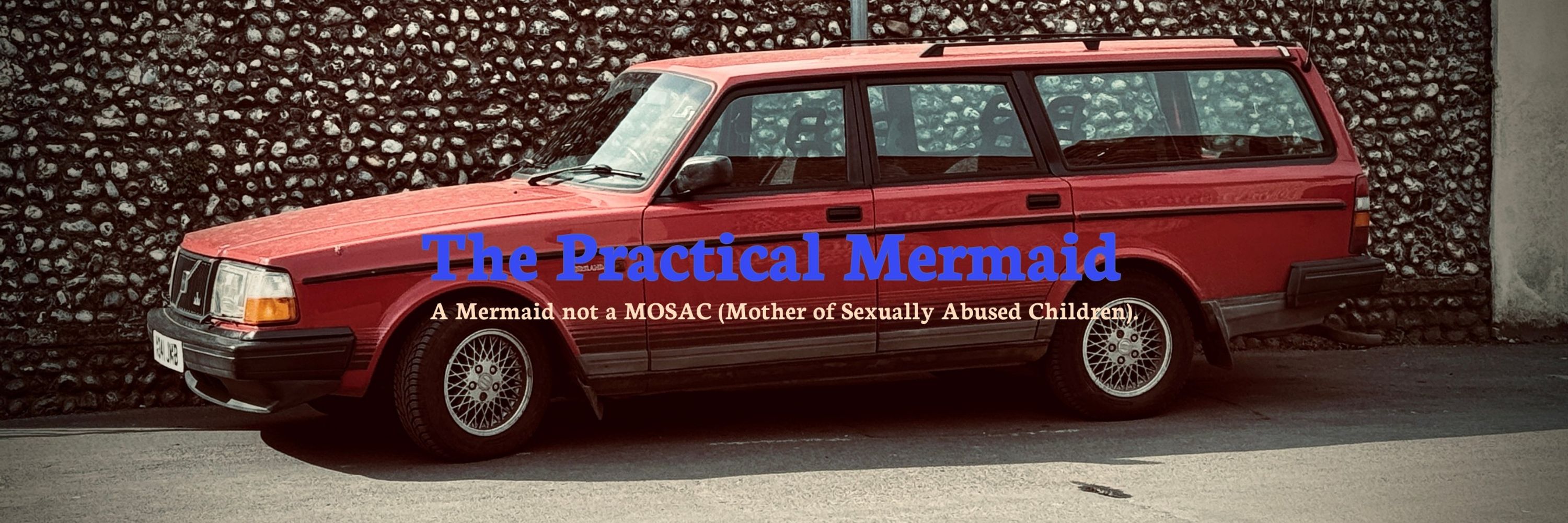 The Practical Mermaid