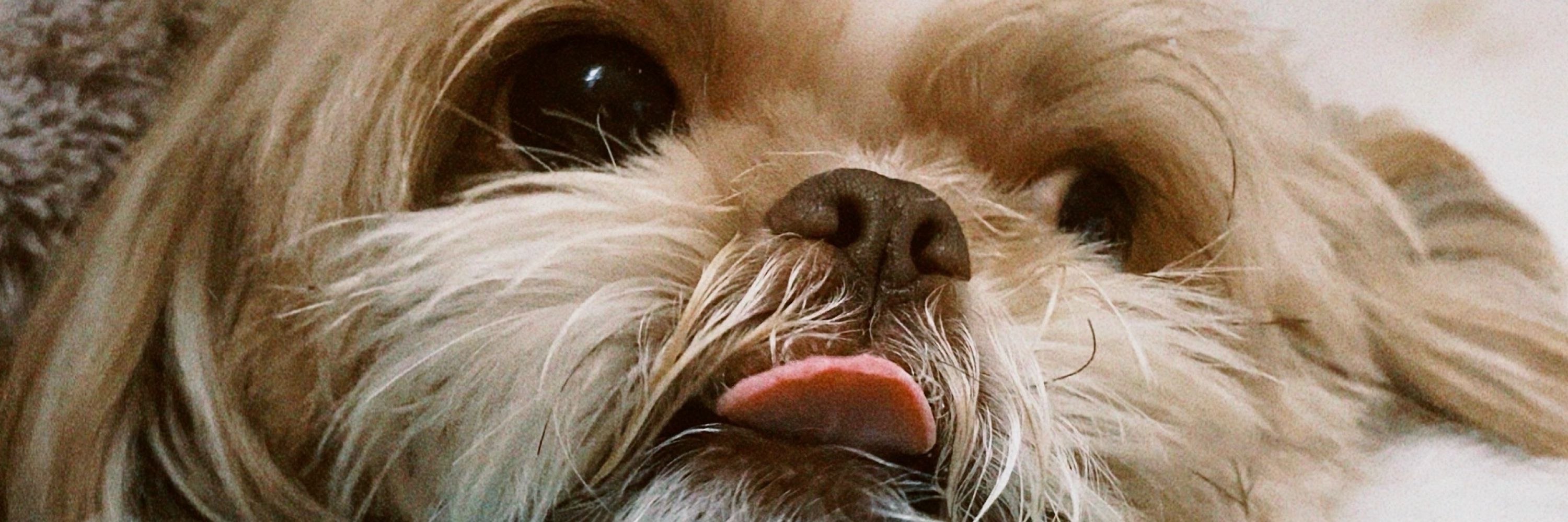 lua