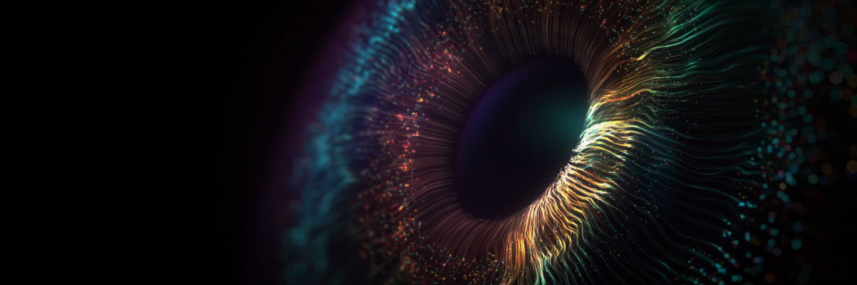 bionic-vision.org