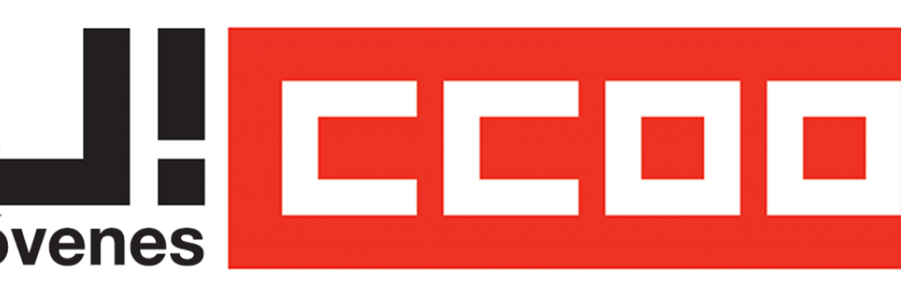 Jóvenes FSS CCOO CYL