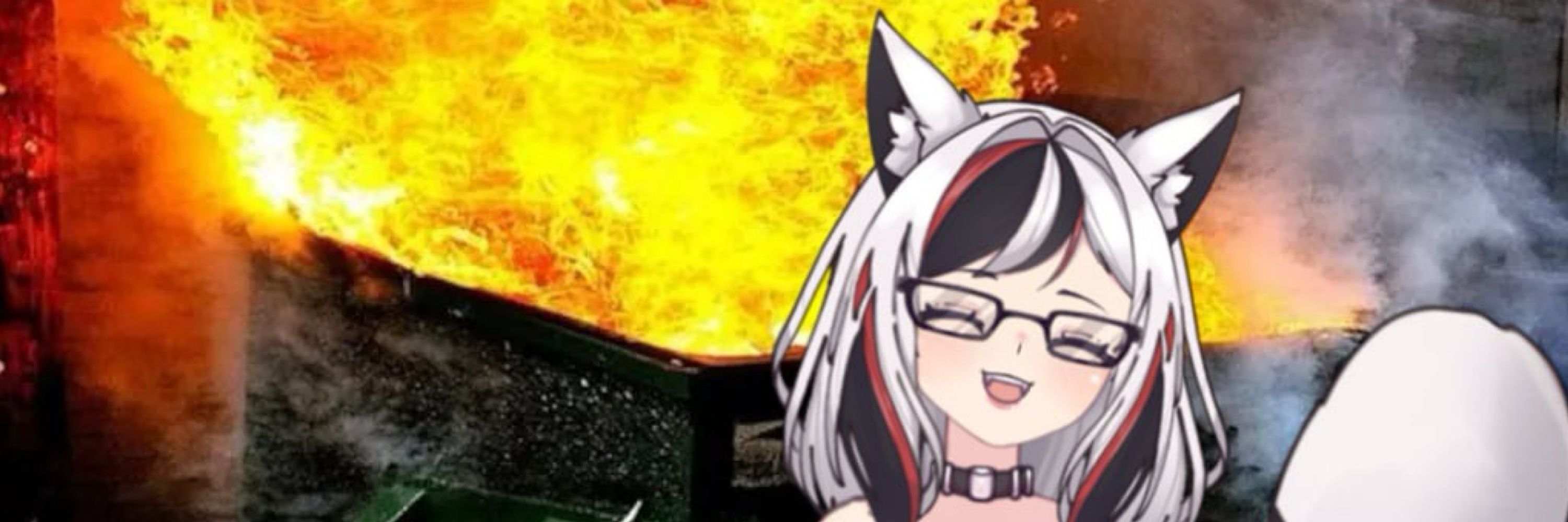 Reinami Binx