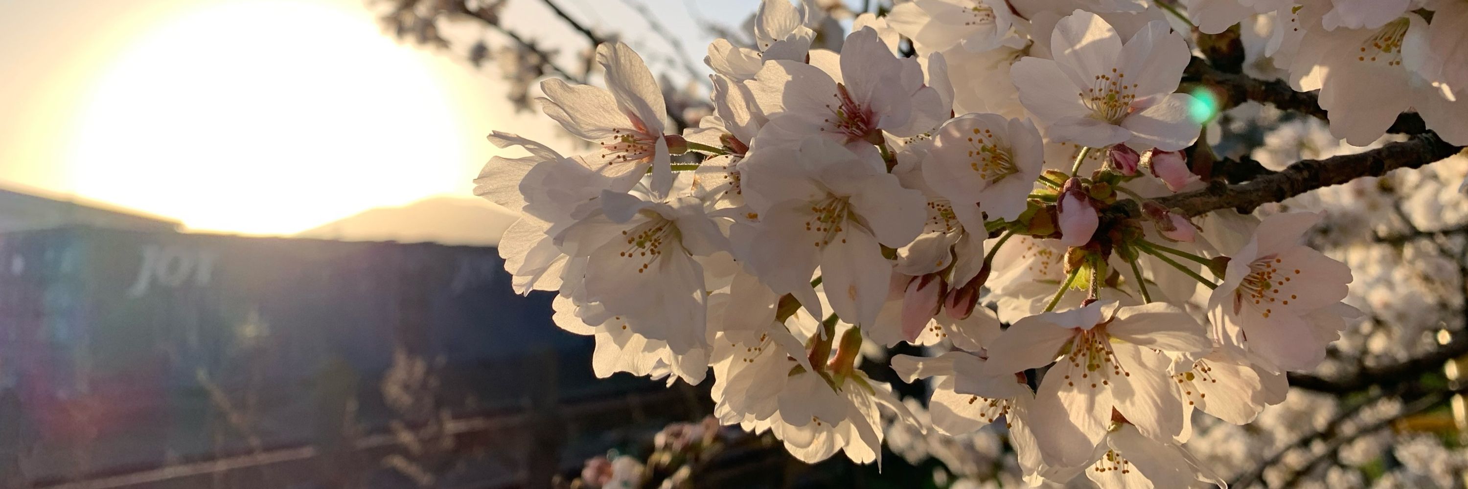 はる