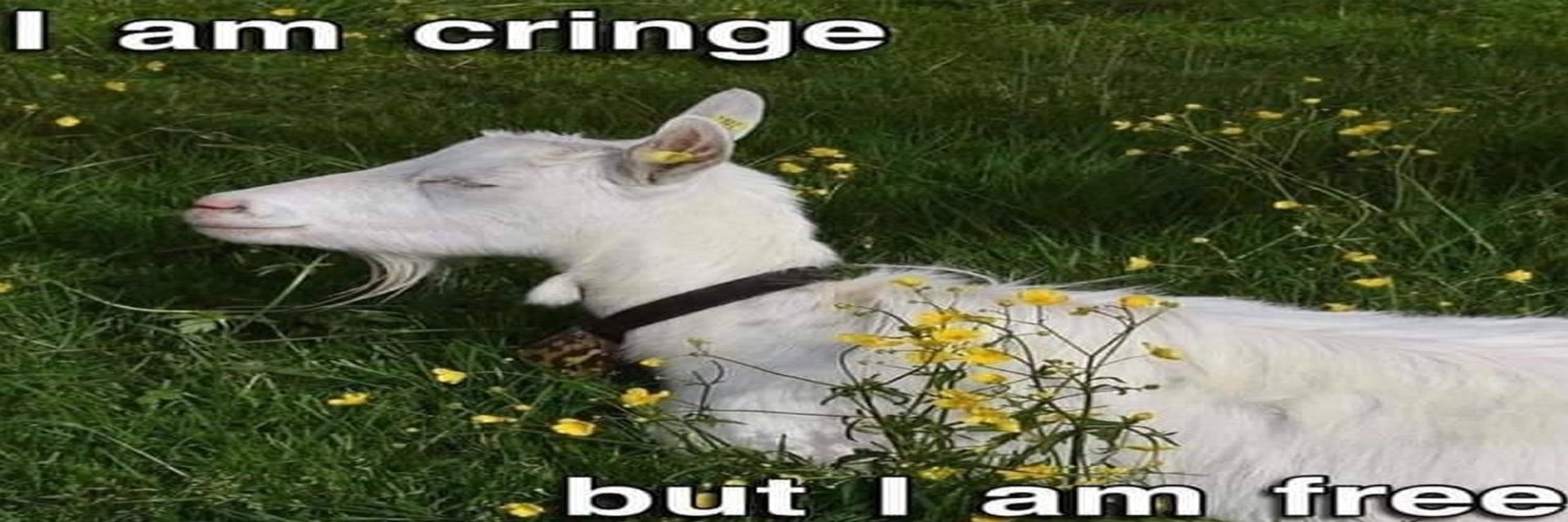 Lumie