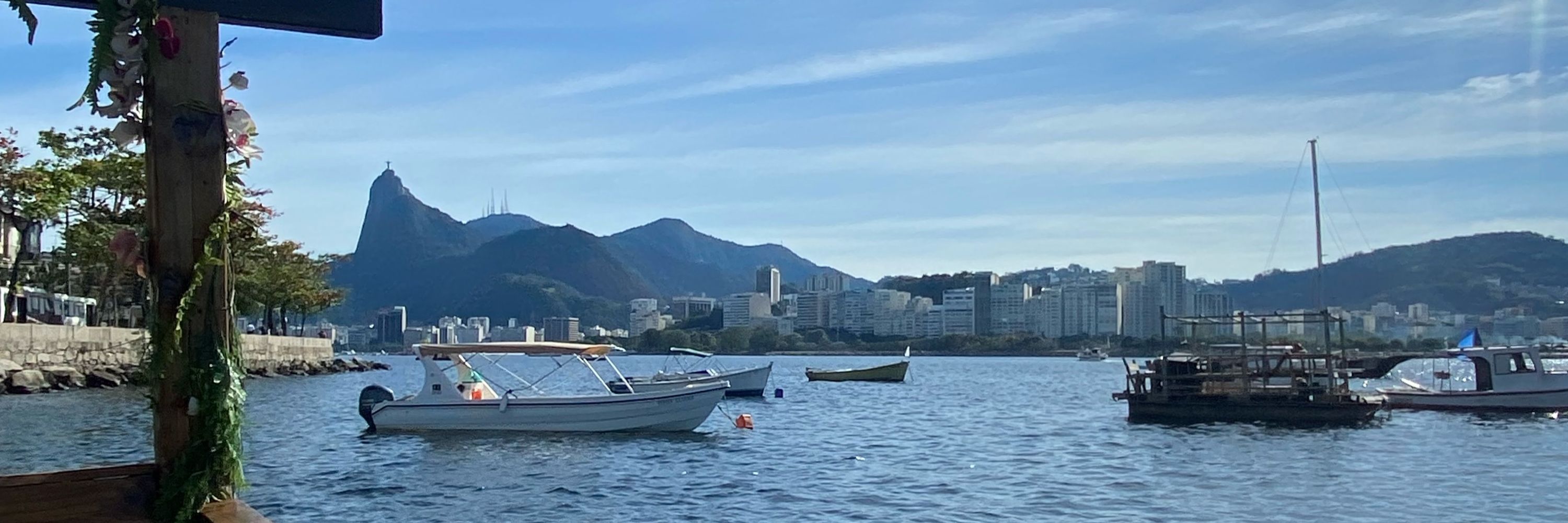 Surtadinha
