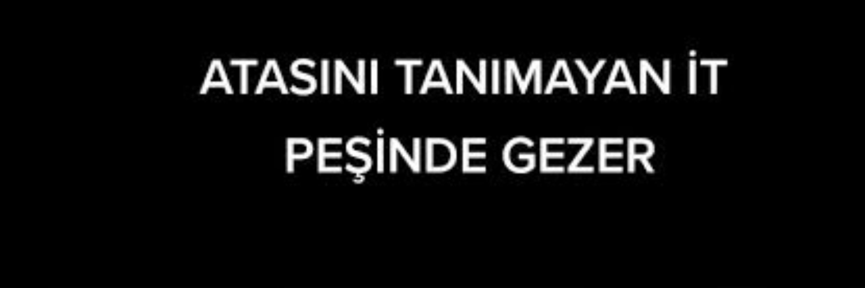 Nasreddin Hoca
