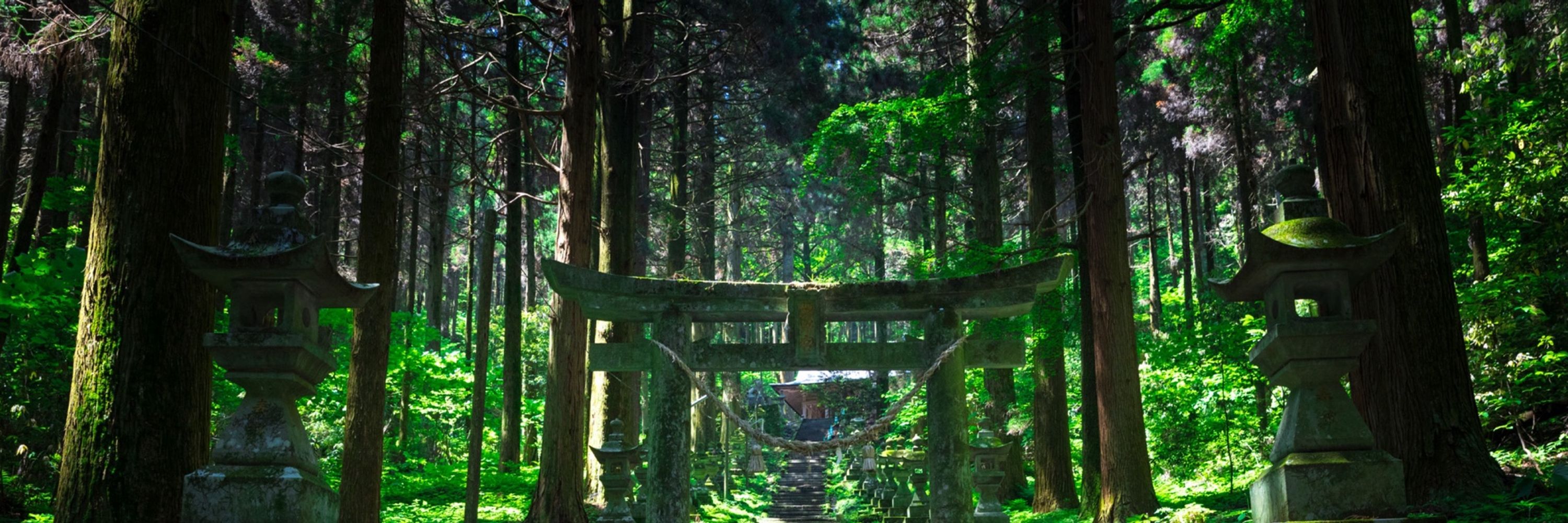 keishi ⛩️ けいし