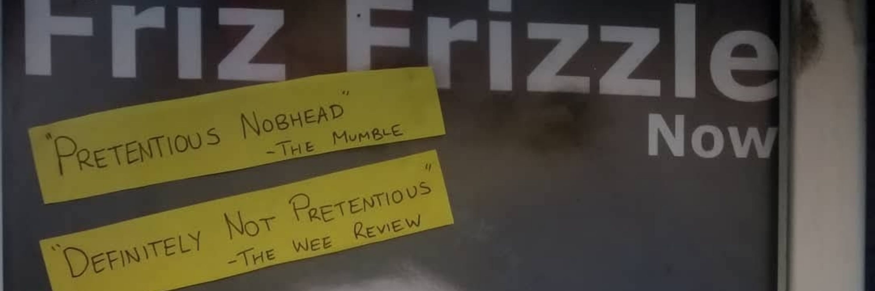 Friz Frizzle