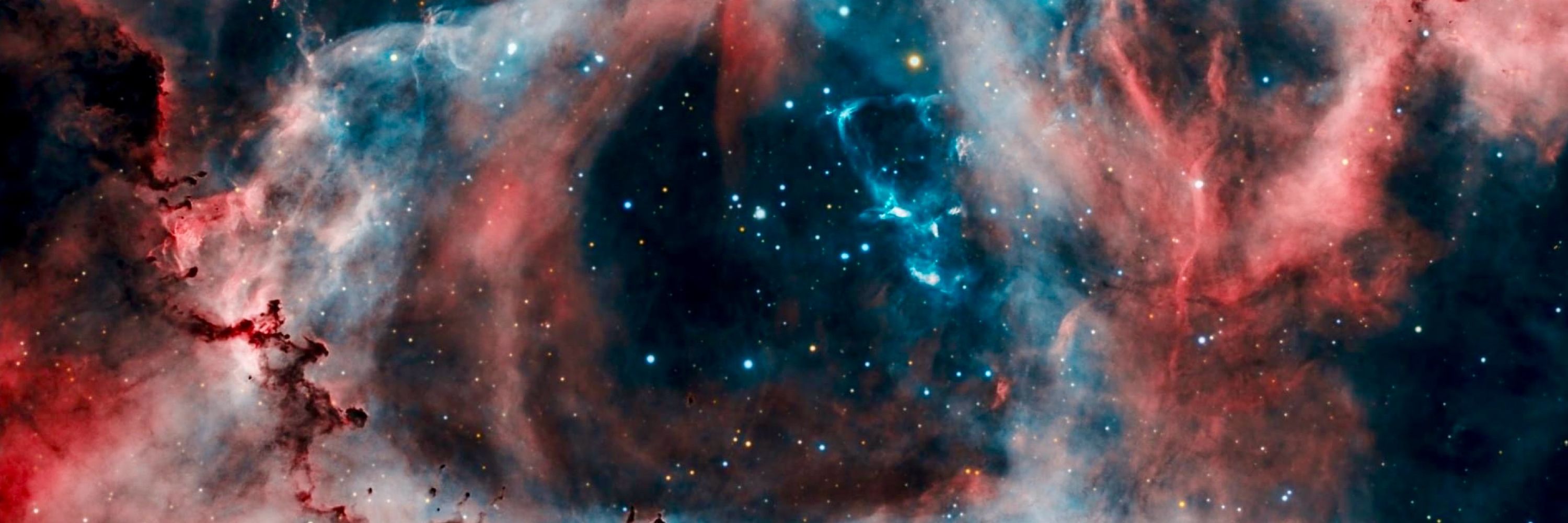 The Space Koala
