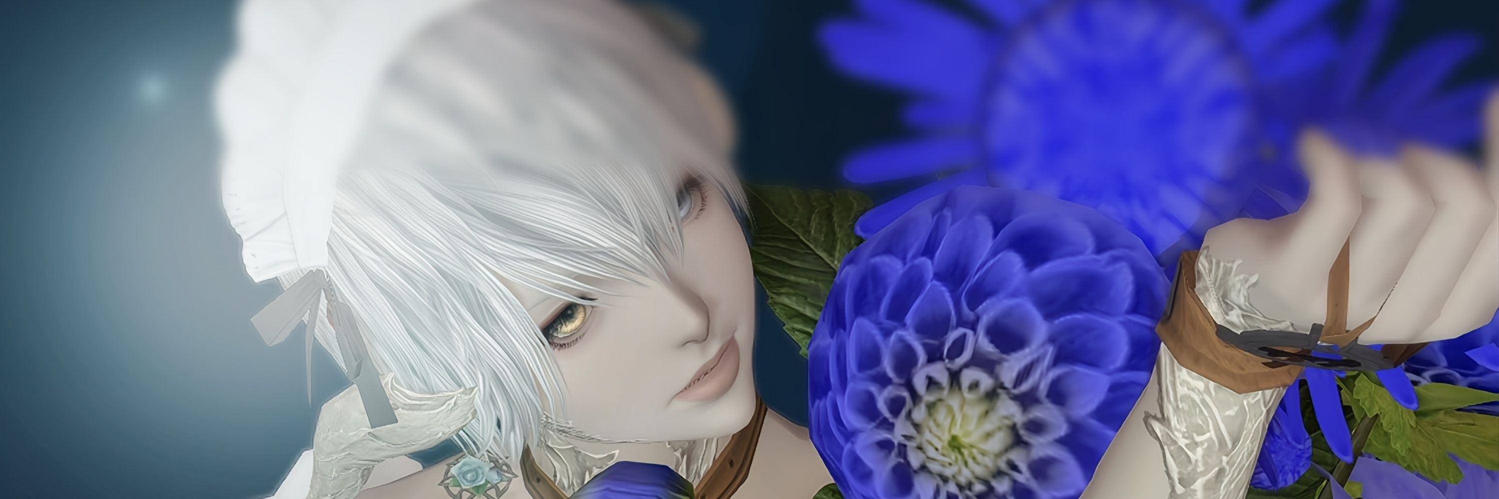 𝓐𝔂𝓪*
