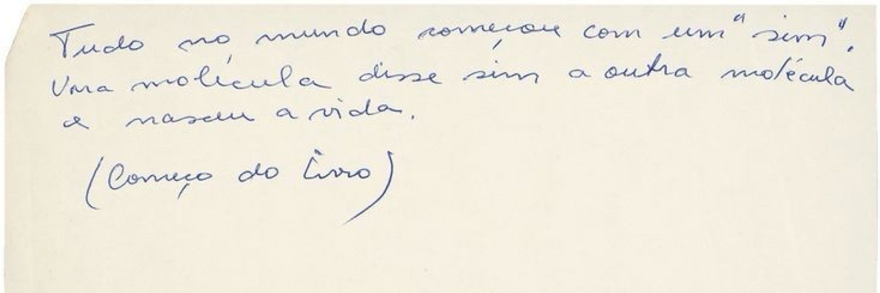 Bruna