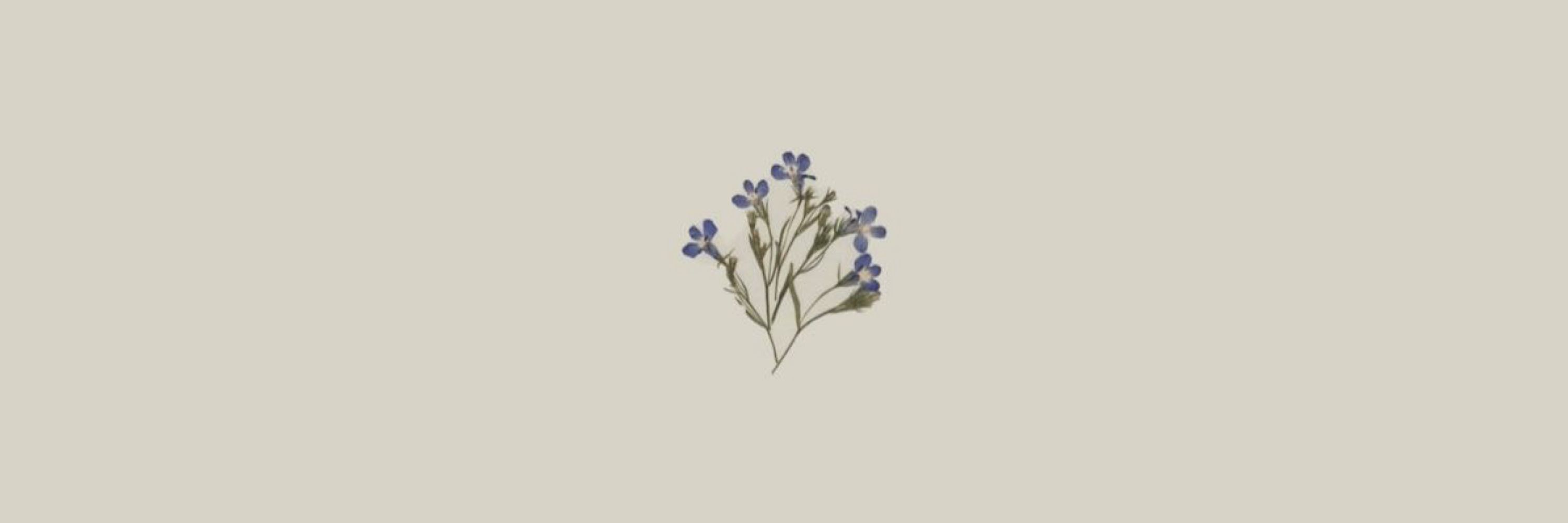 rosalie ˃̵ᴗ˂̵