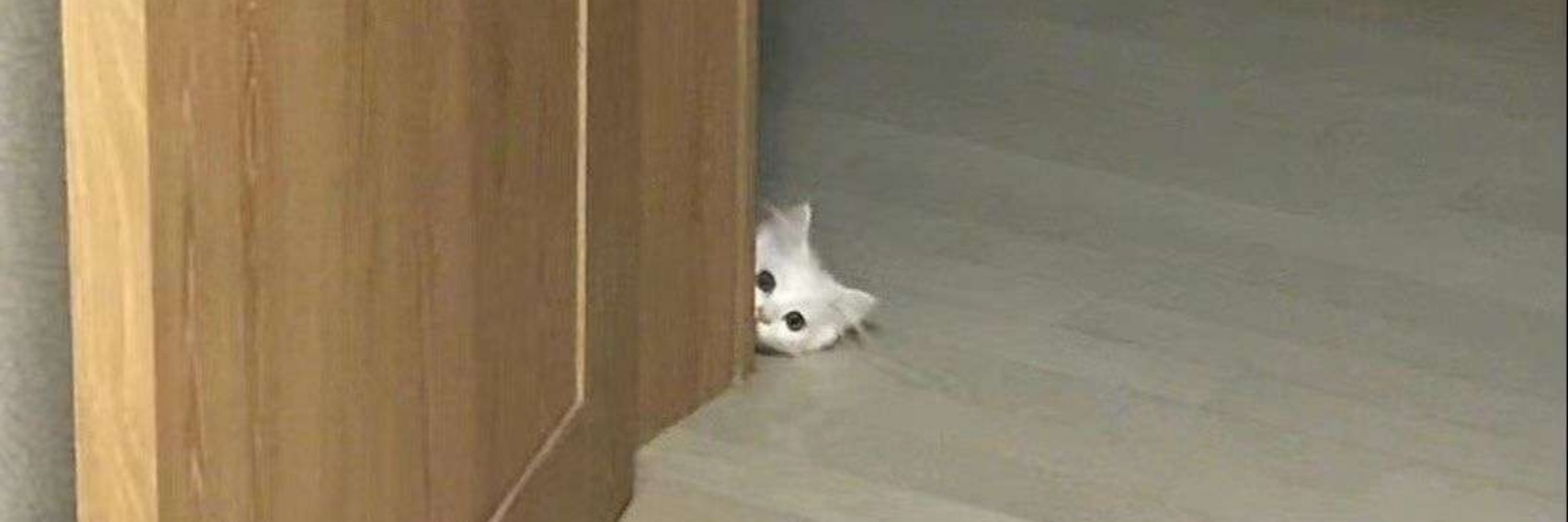 Lele