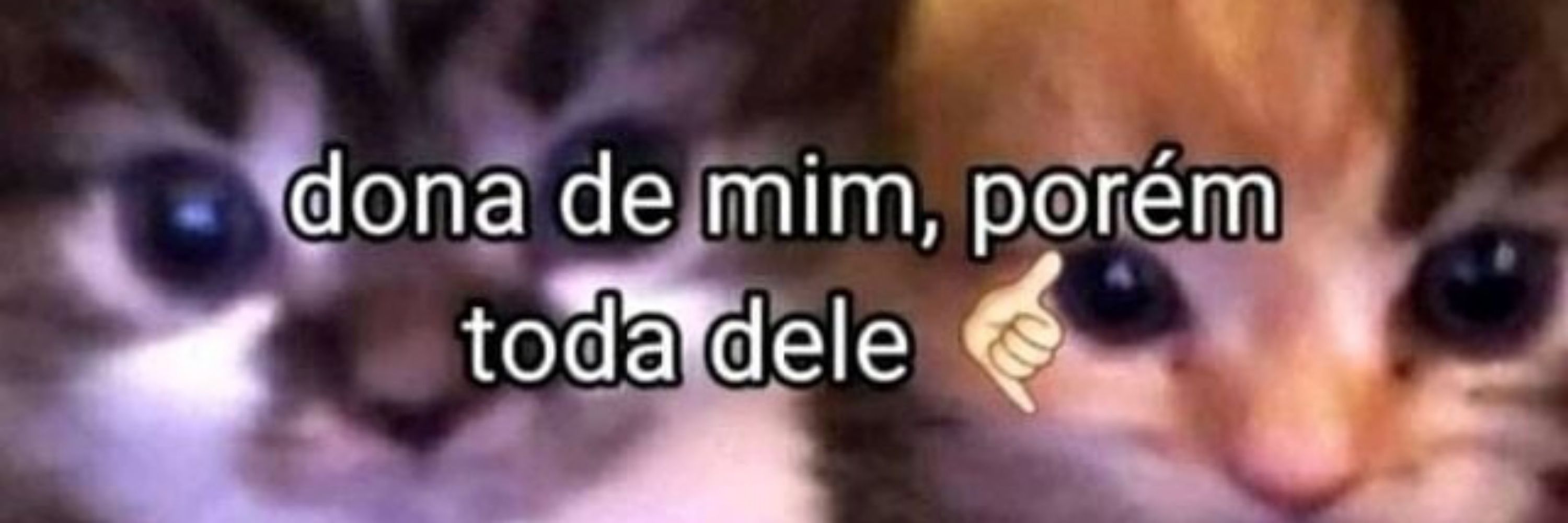 Steh Oliveira