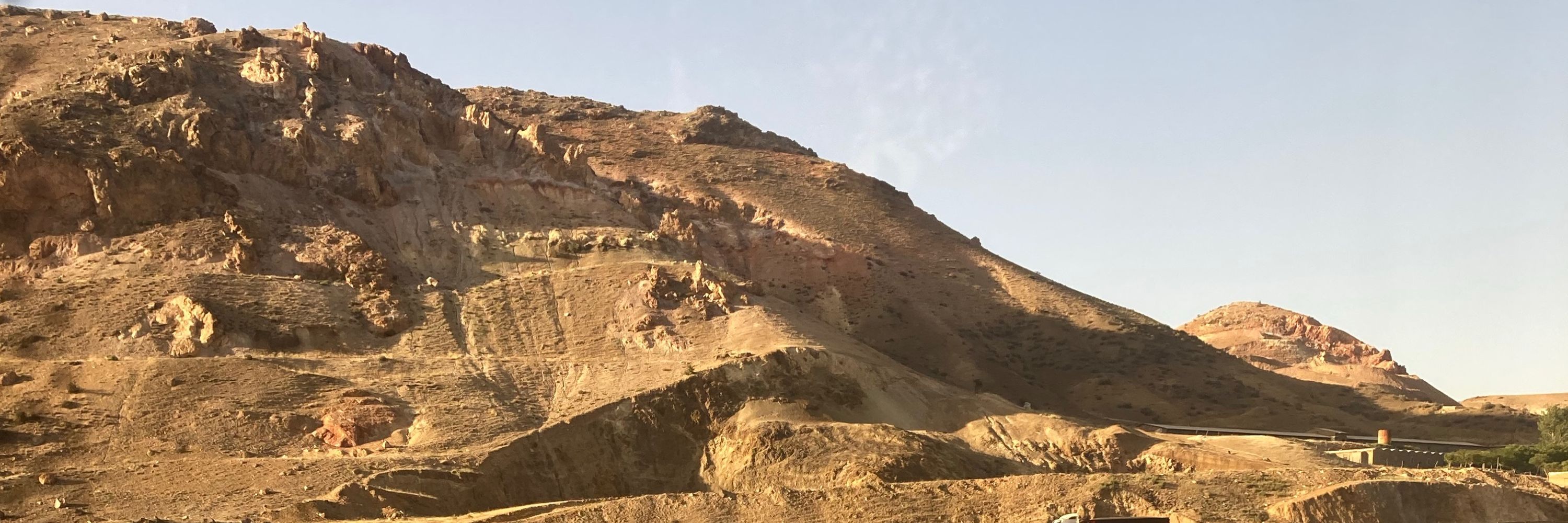 زاغ سفید