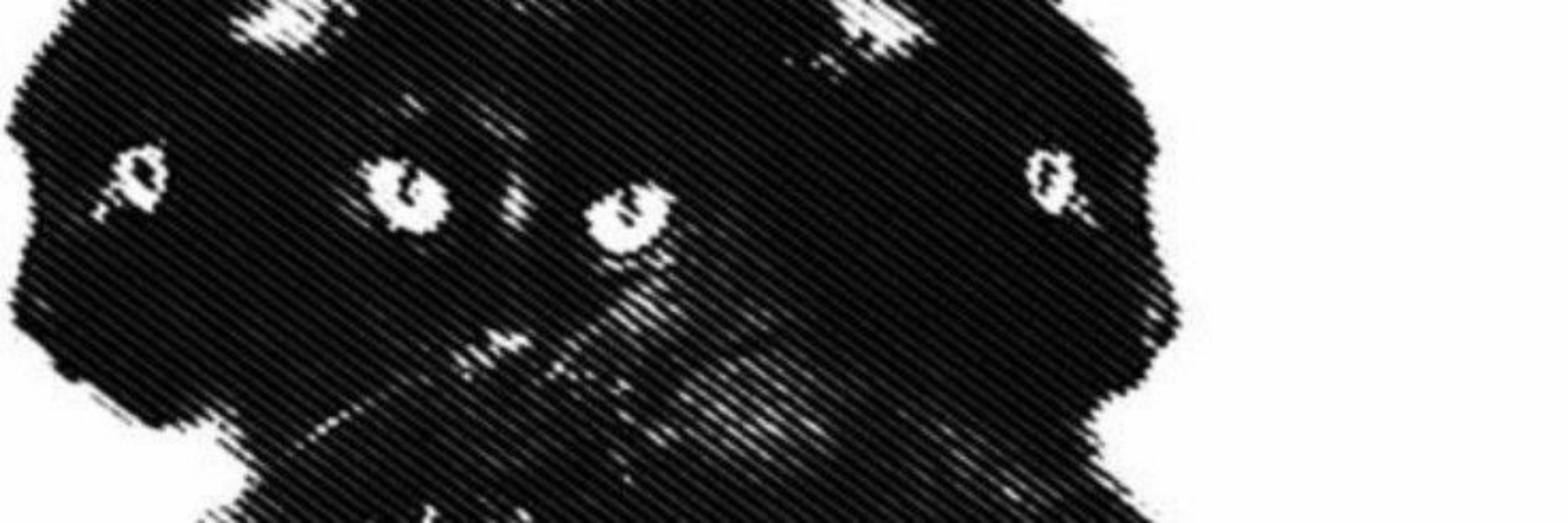 Lua