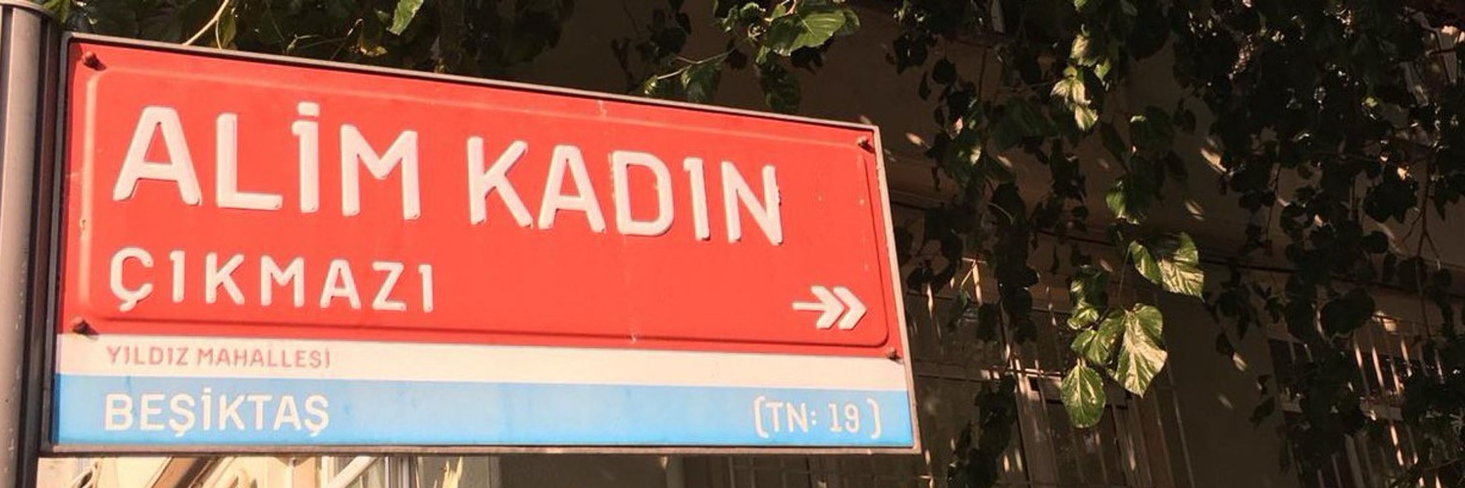 bahsetmiş miydim?
