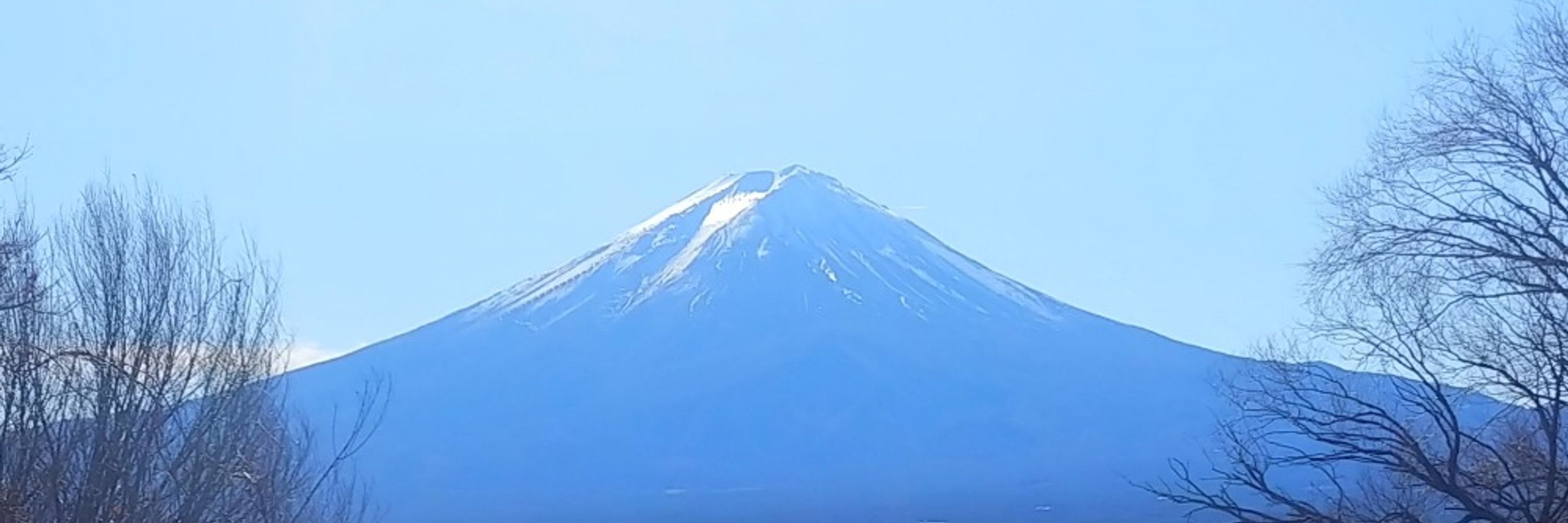 G☆G