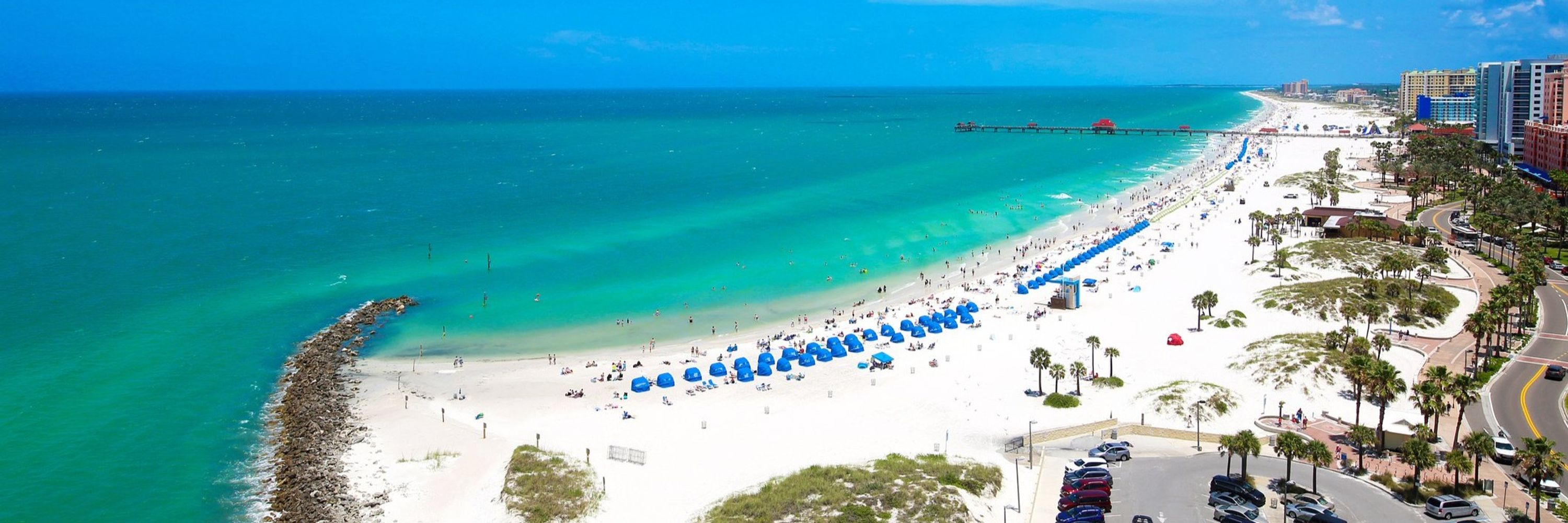 Florida Dreamin' 🌴🌊