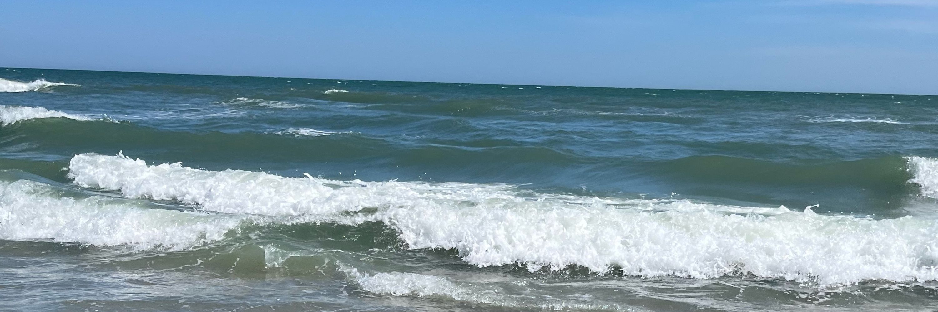 Haley Joy 🌊