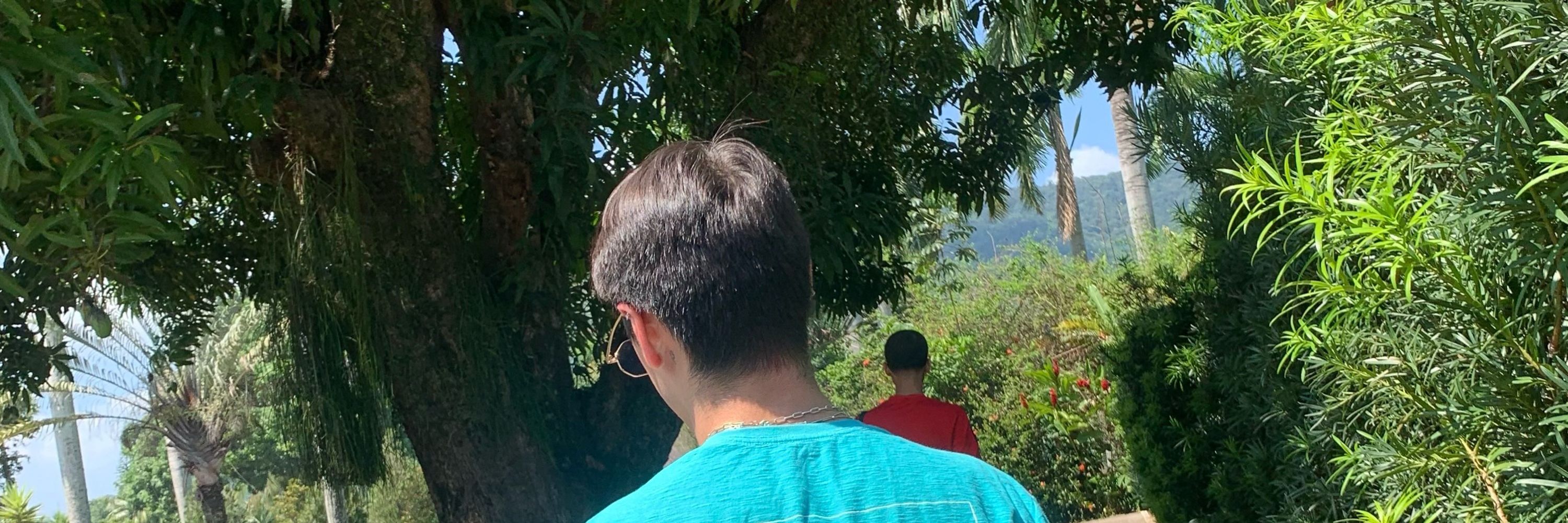 JoaoDetes 🦋
