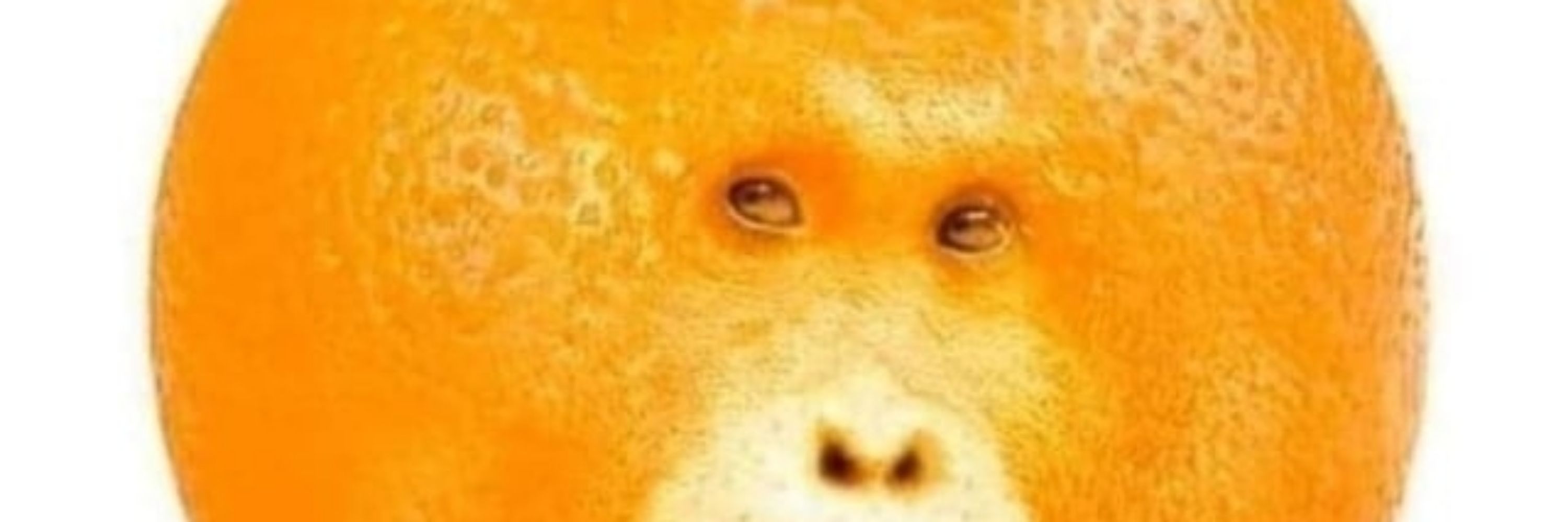 pnomgo