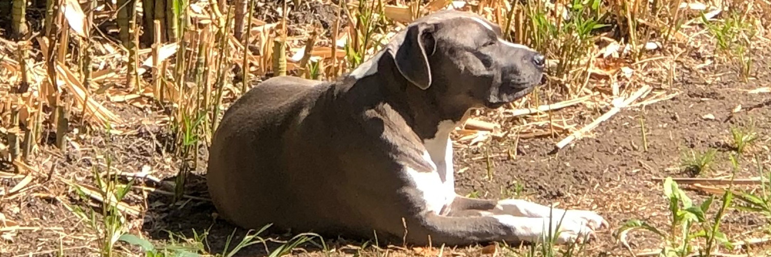 Stephanie-Same Me-Picture Profile in Better Place💙🦋Blue Sky.