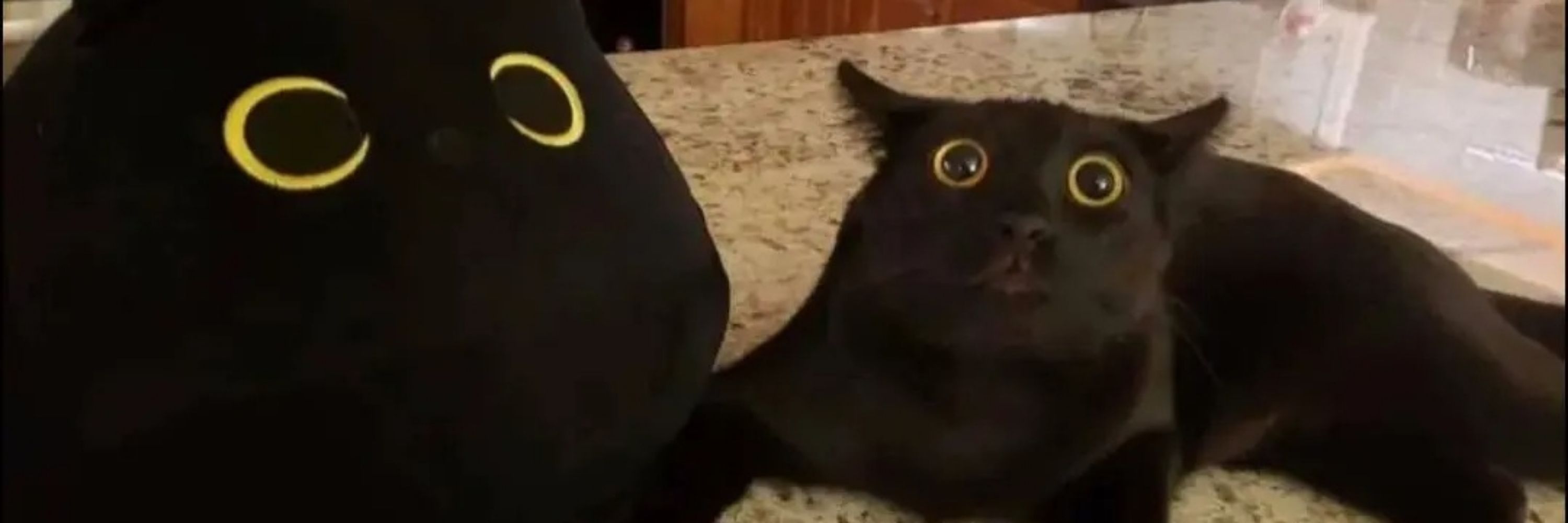 Gekk