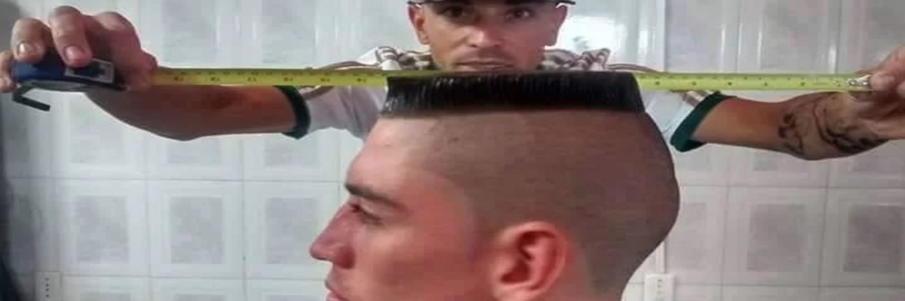 NegoBlup