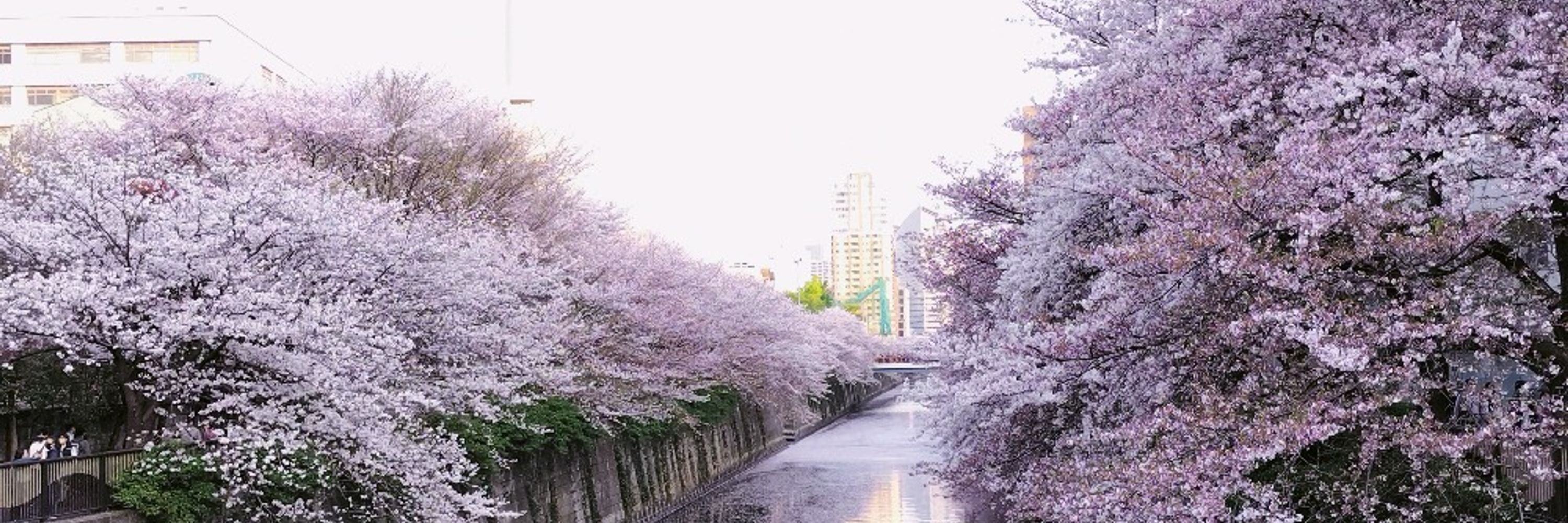りらちょこ