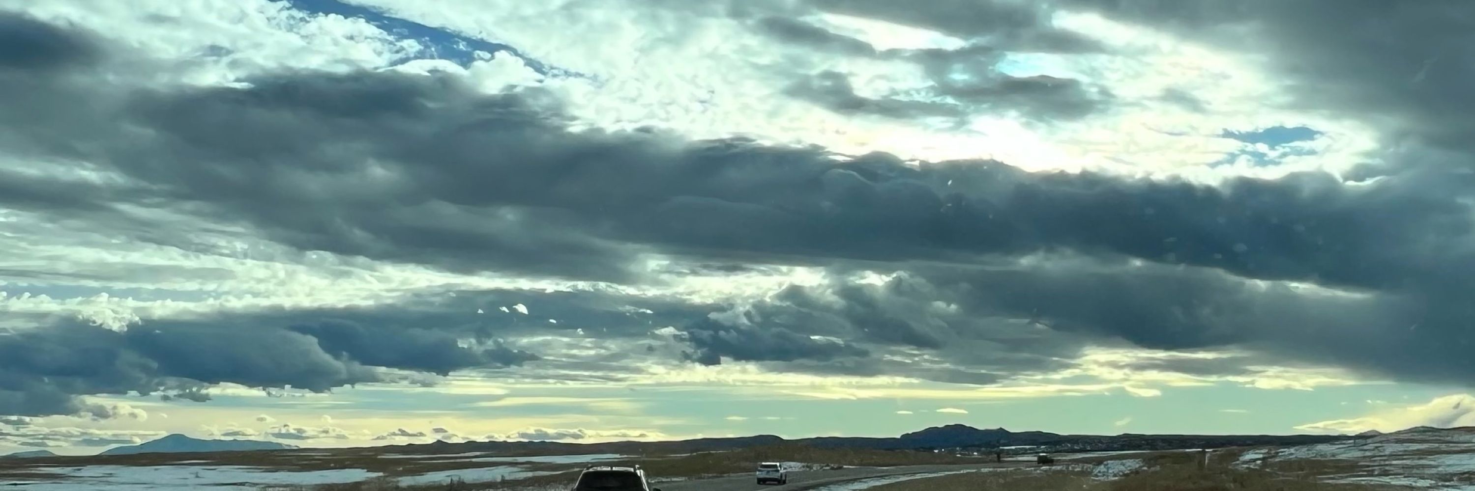 ColoradoNativeMum