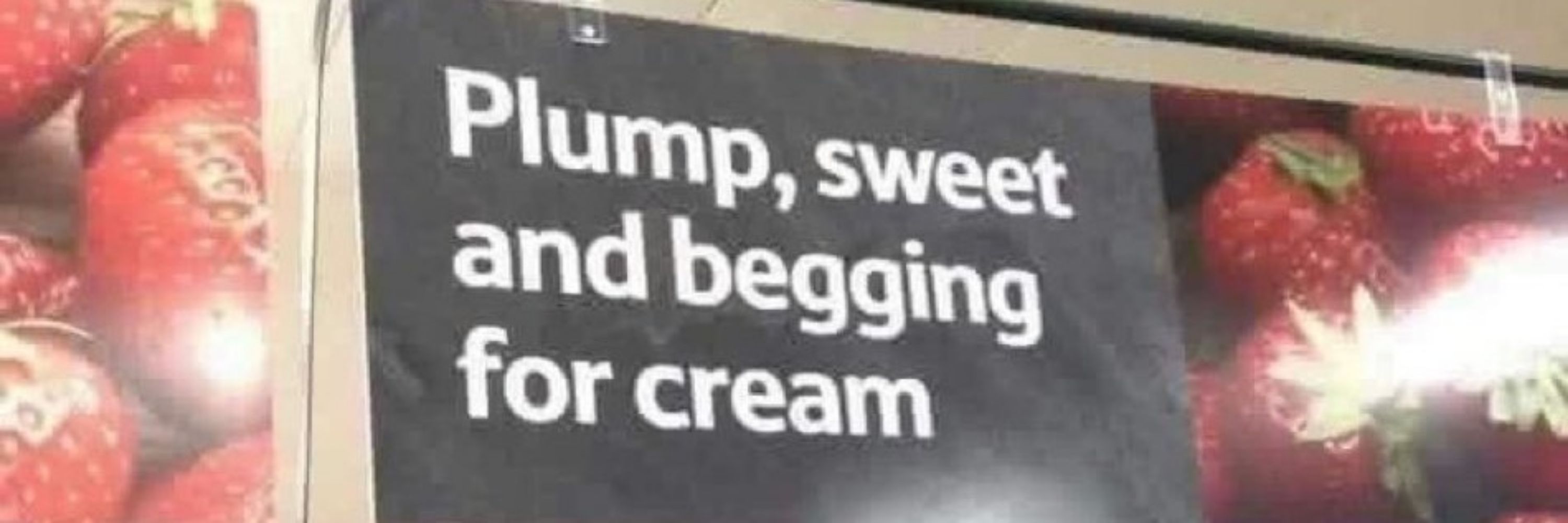 MothGF