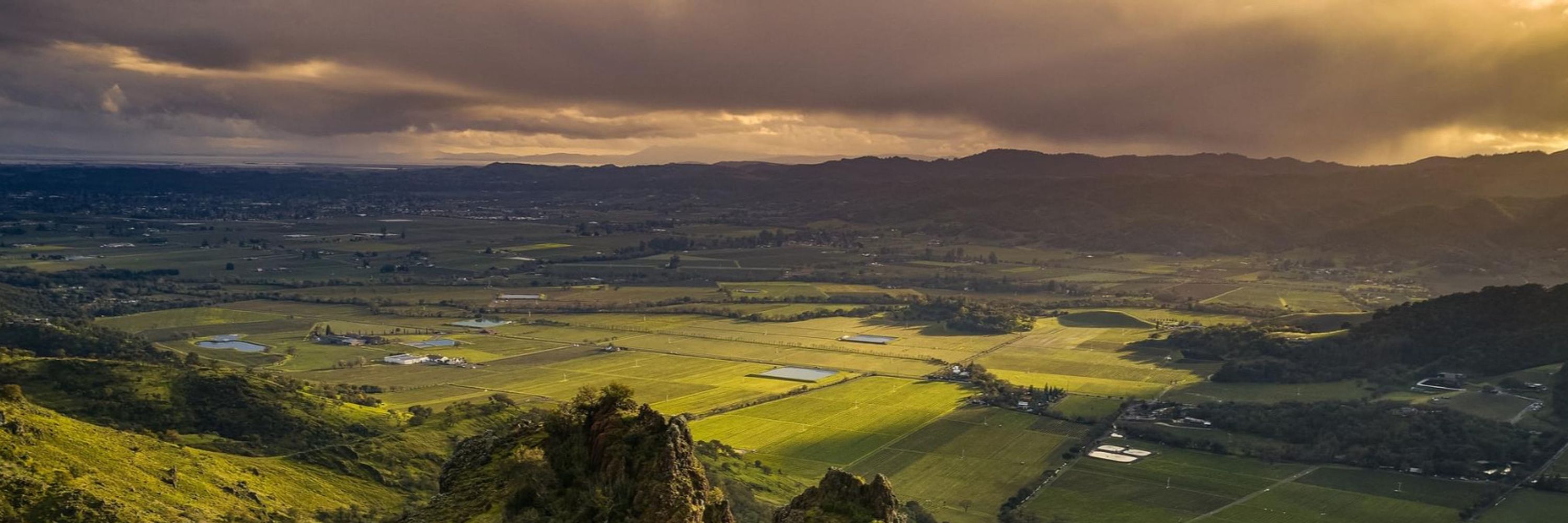 Stags Leap District, Napa Valley